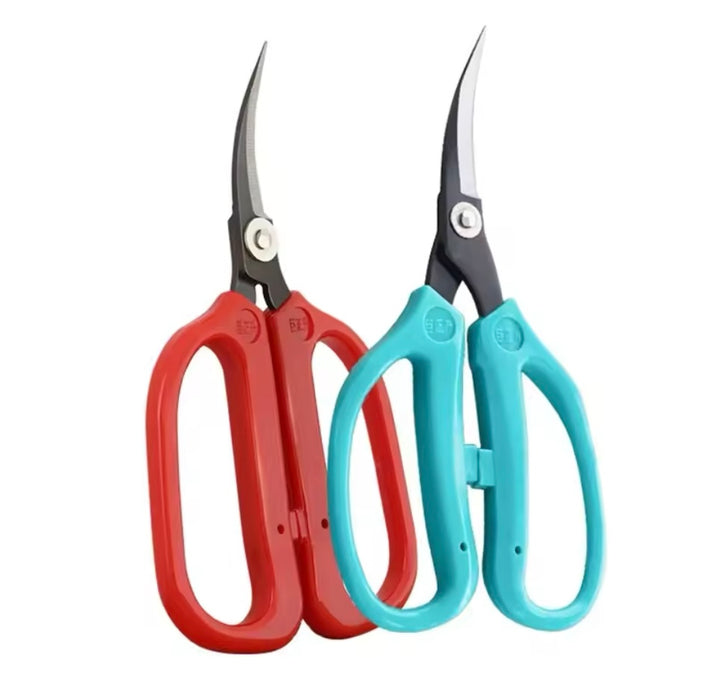 Large Handle Curved Scissors