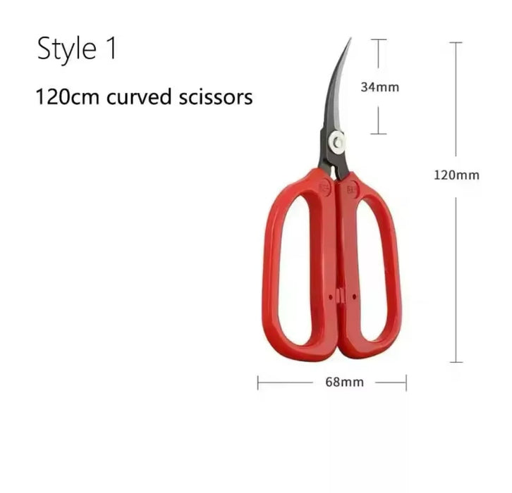 Large Handle Curved Scissors